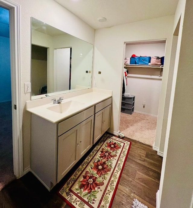 13120 Roving Pass, Elgin, TX 78621 - bathroom featuring vanity, wood finished floors, and a spacious closet