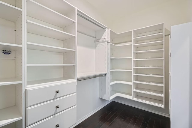 walk in closet featuring hardwood / wood-style flooring