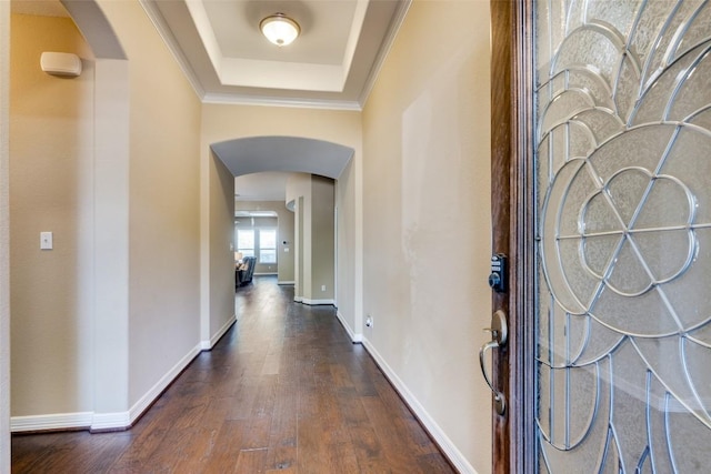 foyer with a tray ceiling and dark hardwood / wood-style floors