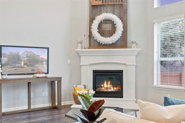 living area with dark hardwood / wood-style floors