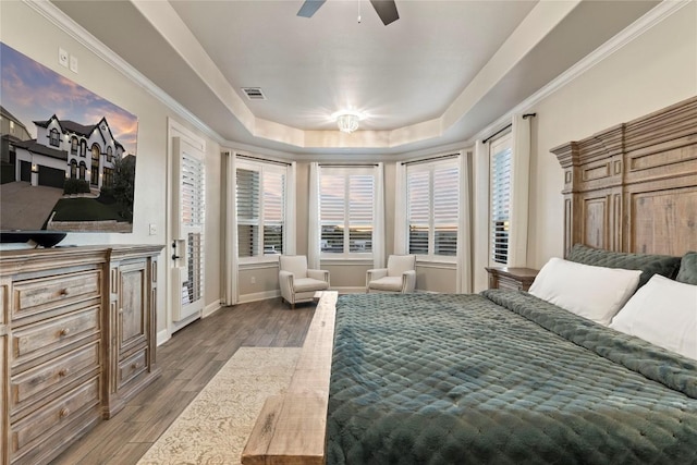 2513 Long Lasso Pass, Leander, TX 78641 - bedroom featuring wood finished floors, a raised ceiling, and a ceiling fan