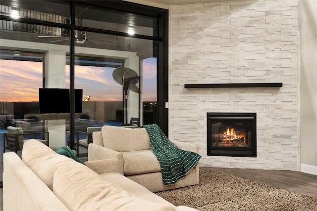 2513 Long Lasso Pass, Leander, TX 78641 - living area featuring wood finished floors and a fireplace
