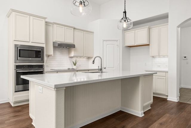 kitchen with appliances with stainless steel finishes, dark hardwood / wood-style floors, a kitchen island with sink, and sink