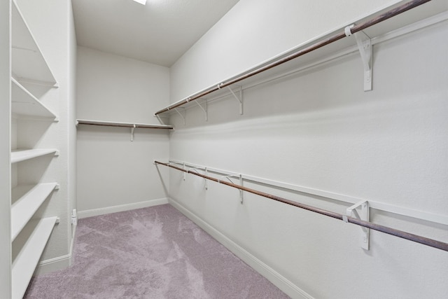 spacious closet with light carpet