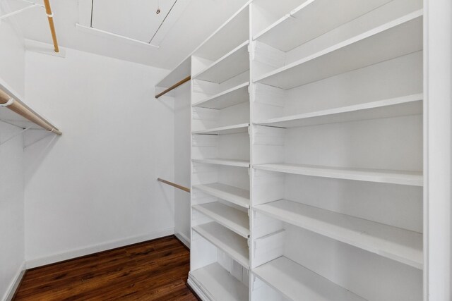 walk in closet featuring dark hardwood / wood-style floors