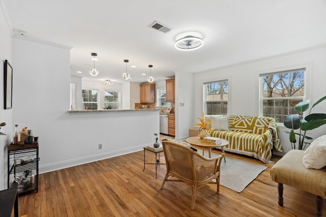 living room featuring a healthy amount of sunlight and light hardwood / wood-style flooring