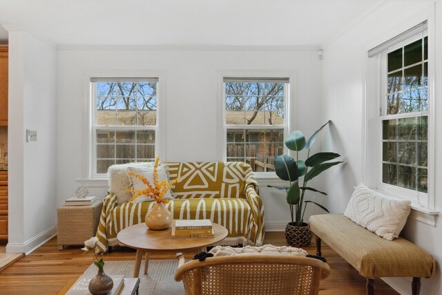 living area featuring crown molding and wood-type flooring