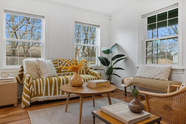 living area with ornamental molding and wood-type flooring