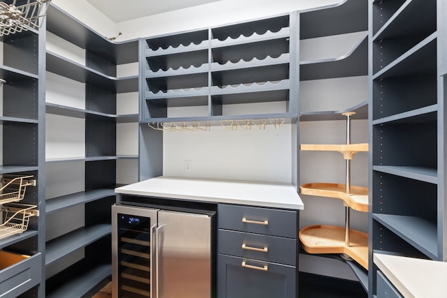 walk in closet with beverage cooler