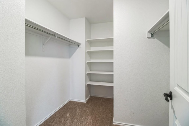 walk in closet featuring dark colored carpet