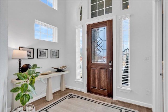 foyer featuring hardwood / wood-style floors and a wealth of natural light