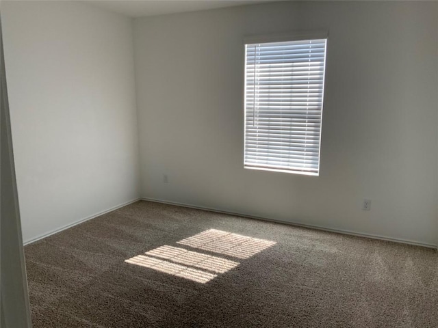 spare room with plenty of natural light and carpet flooring