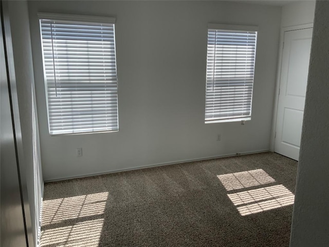 carpeted empty room with a wealth of natural light