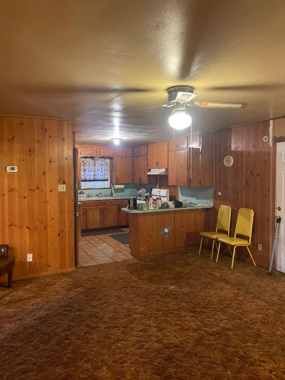 kitchen featuring light carpet, wooden walls, and kitchen peninsula