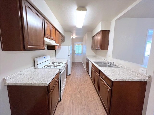 kitchen featuring sink, white appliances, dark brown cabinets, and light wood-type flooring