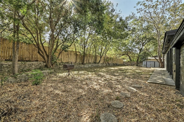 view of yard with a storage shed