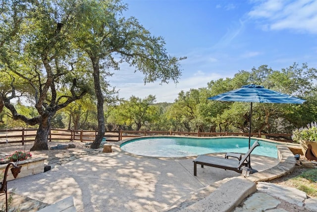 view of swimming pool with a patio area