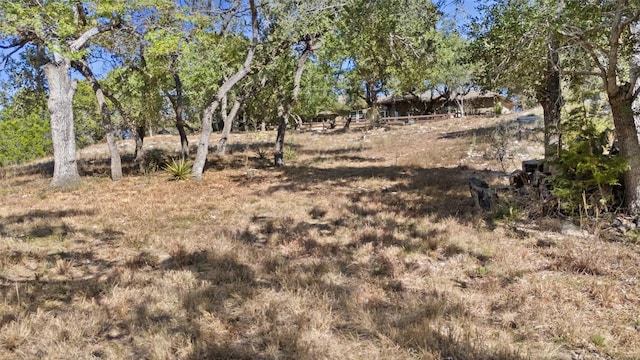 view of landscape