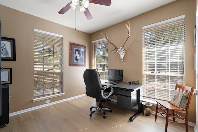 office with ceiling fan and light hardwood / wood-style flooring