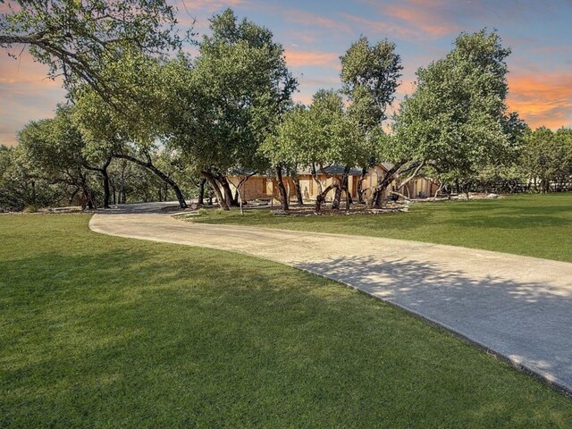 view of community featuring a lawn