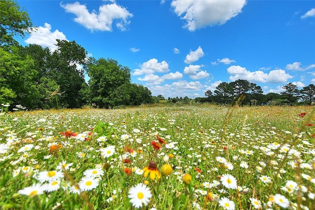 view of nature featuring a rural view