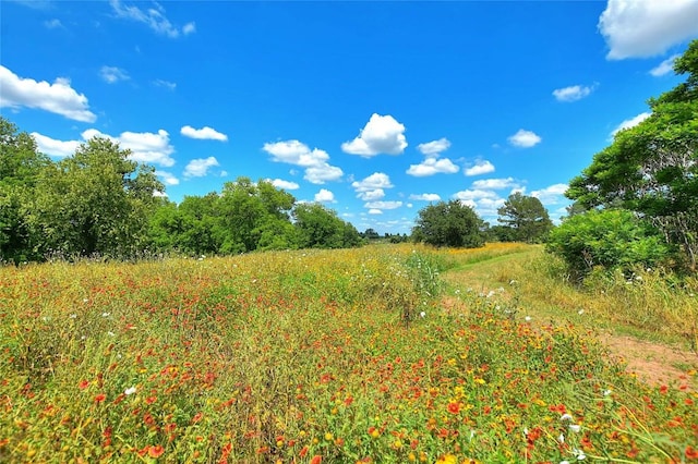 view of landscape