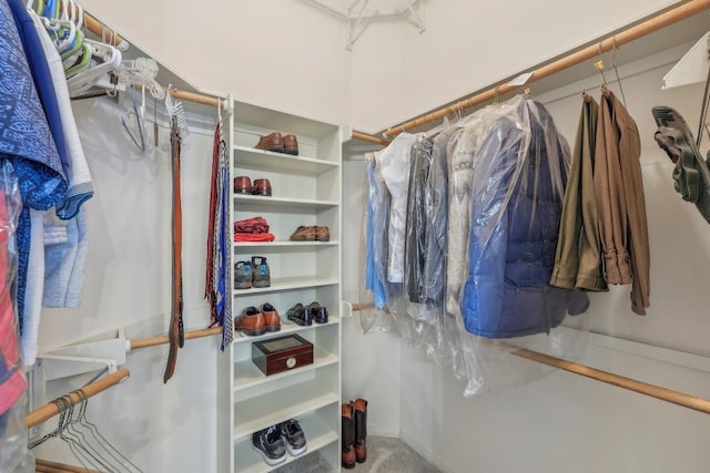 view of walk in closet