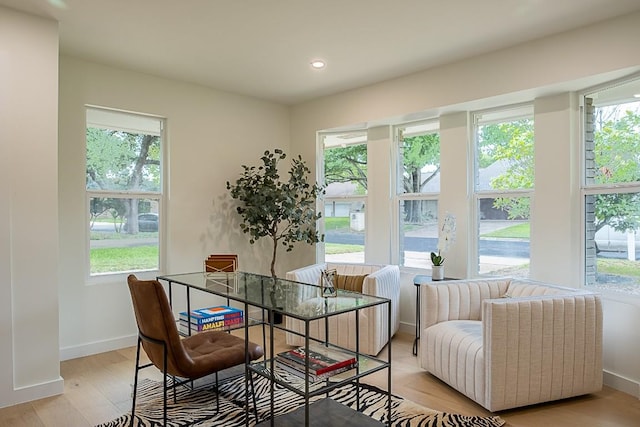 dining room with a healthy amount of sunlight and light hardwood / wood-style flooring