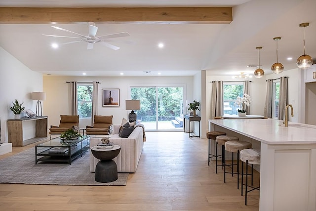 living room with sink, a wealth of natural light, and light hardwood / wood-style floors