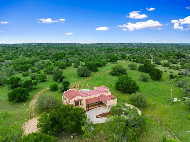 bird's eye view