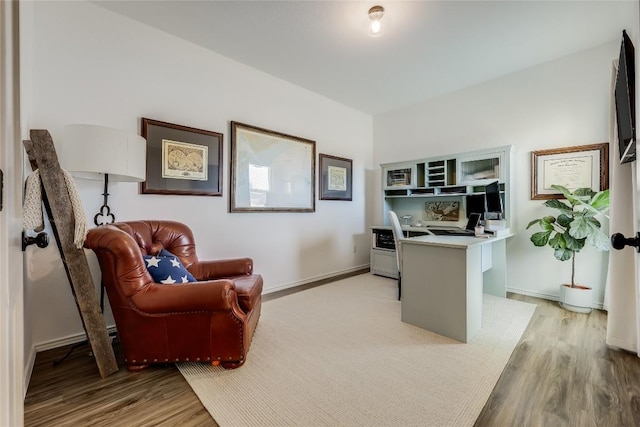 office featuring light hardwood / wood-style floors