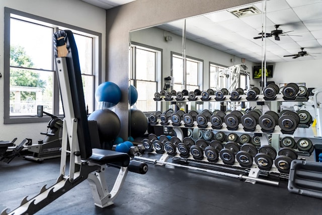 workout area with a drop ceiling and ceiling fan