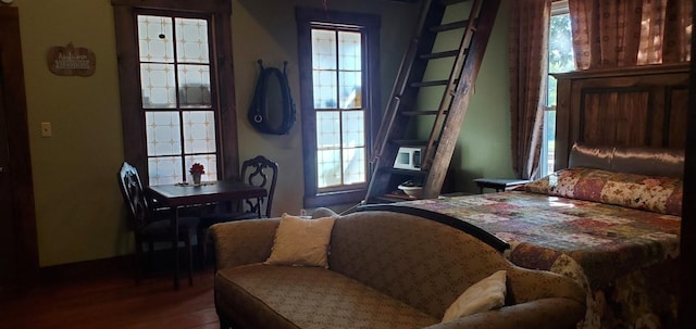 bedroom featuring wood-type flooring