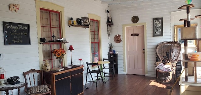 interior space with dark hardwood / wood-style floors and wood walls