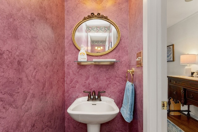 bathroom with sink and wood-type flooring