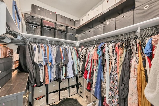 view of walk in closet