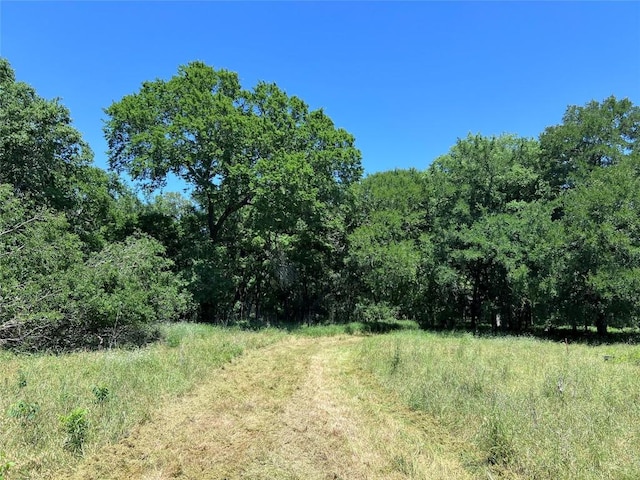 408 Miltex Rd, Seguin, TX 78155 - photo 1