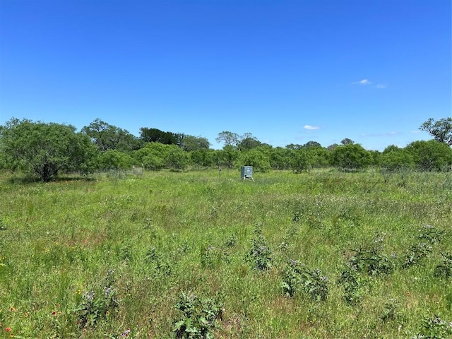 408 Miltex Rd, Seguin, TX 78155 - photo 4