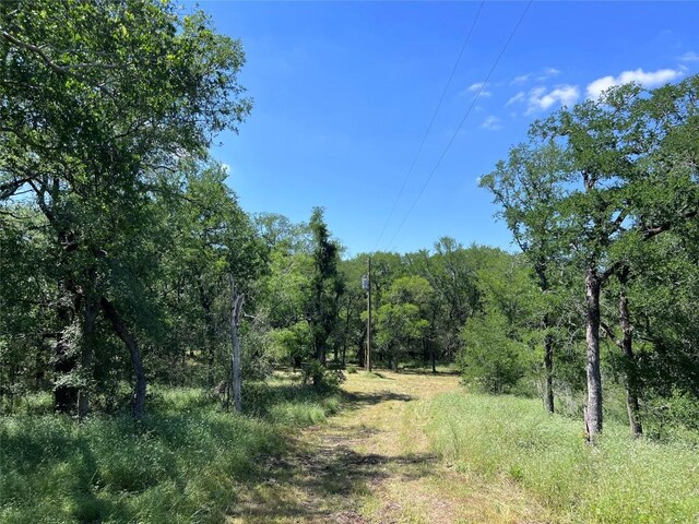 408 Miltex Rd, Seguin, TX 78155 - photo 5