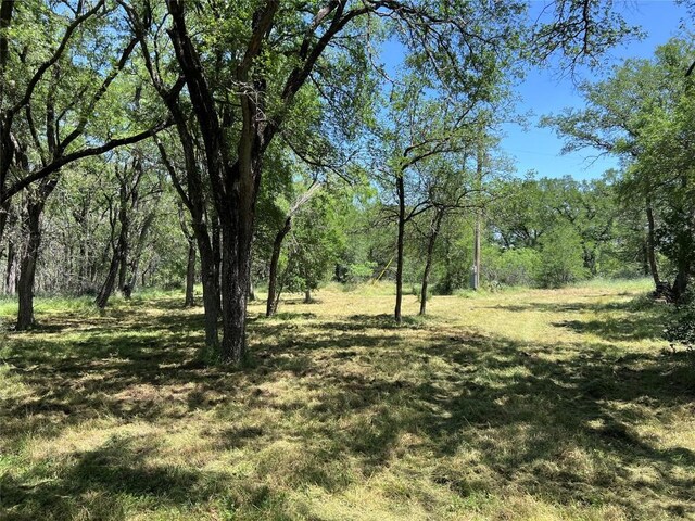408 Miltex Rd, Seguin, TX 78155 - photo 6