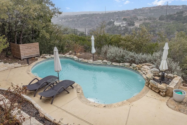 view of pool with a patio area