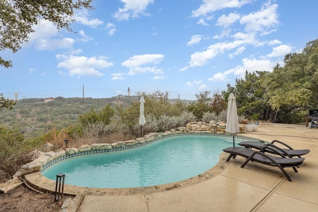 5019 Mcintyre Cir, Austin, TX 78734 - swimming pool with a patio area