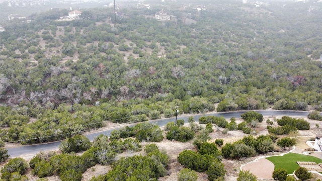 5019 Mcintyre Cir, Austin, TX 78734 - bird's eye view of a forest