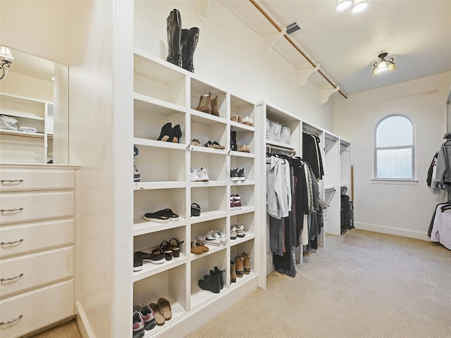 spacious closet with light colored carpet