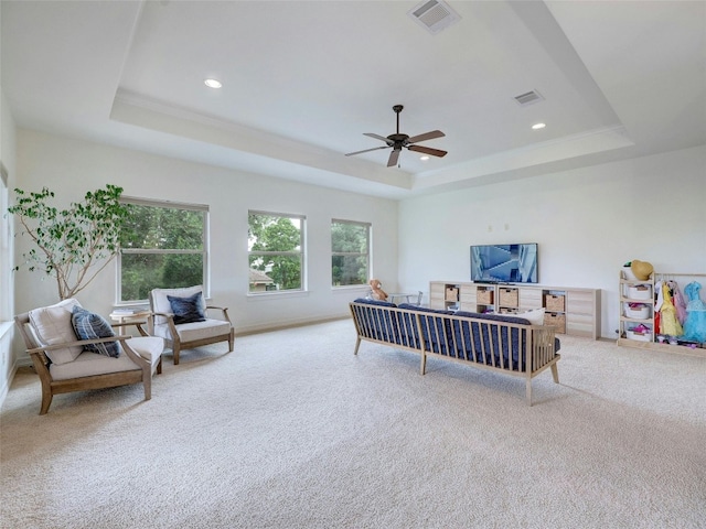 carpeted bedroom featuring a raised ceiling