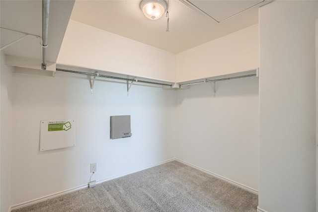 spacious closet featuring carpet floors and electric panel