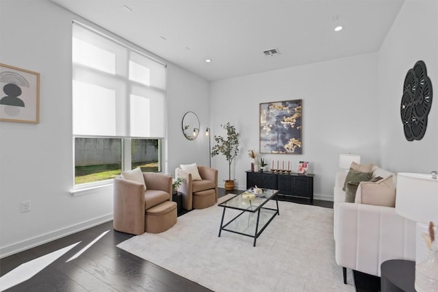 living room featuring hardwood / wood-style flooring