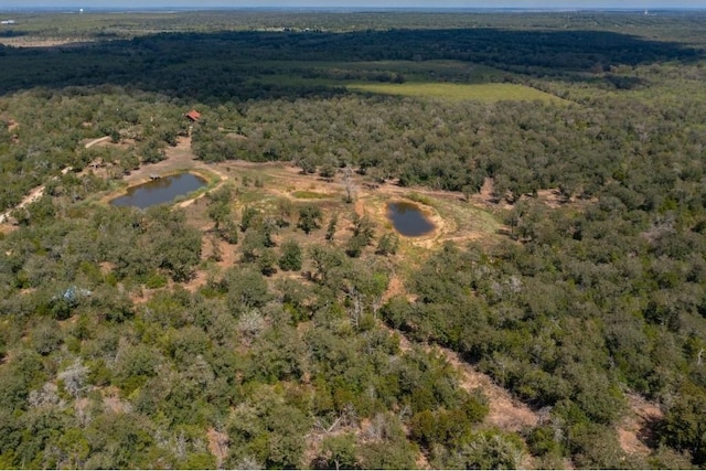 378 Thousand Oaks Dr, Cedar Creek, TX 78612 - photo 2