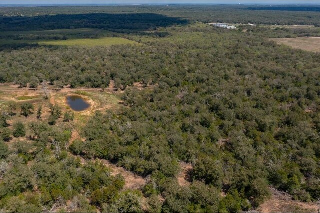 378 Thousand Oaks Dr, Cedar Creek, TX 78612 - photo 3