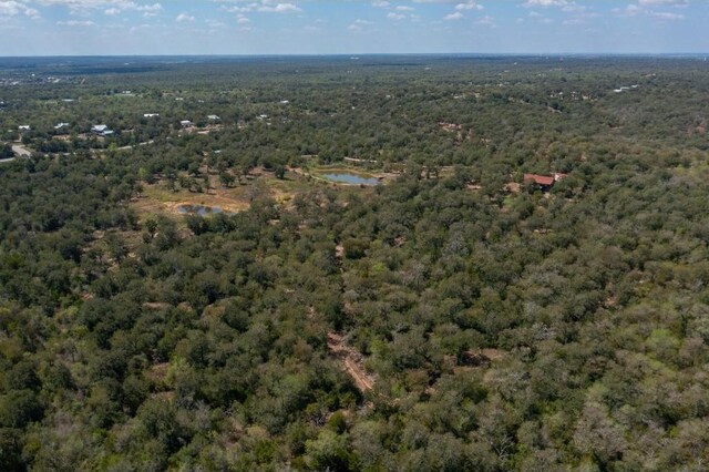 378 Thousand Oaks Dr, Cedar Creek, TX 78612 - photo 4